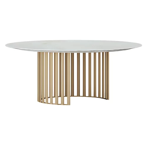 Roma round table